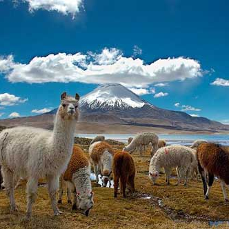 parinacota